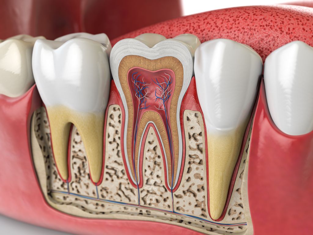 what is root canal therapy
