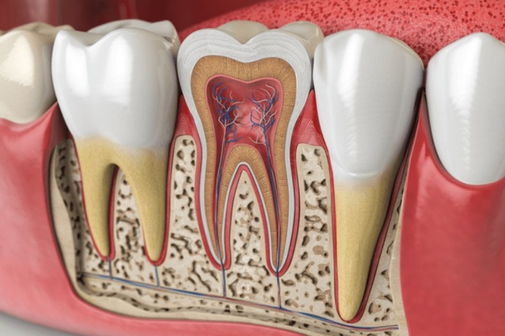 Are Root Canals Painful or Just a Myth? Dentists Explain